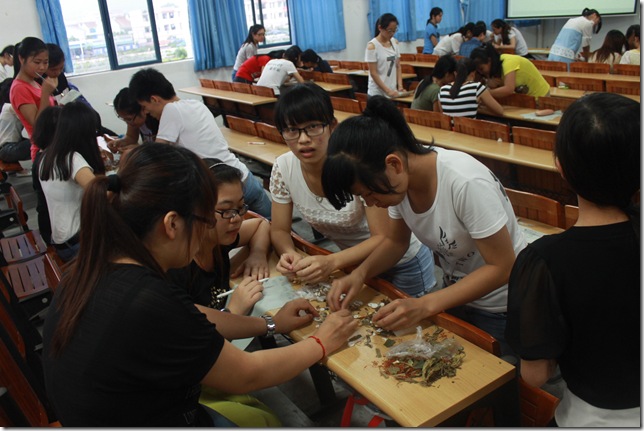 IMG_1997 IMG_1997